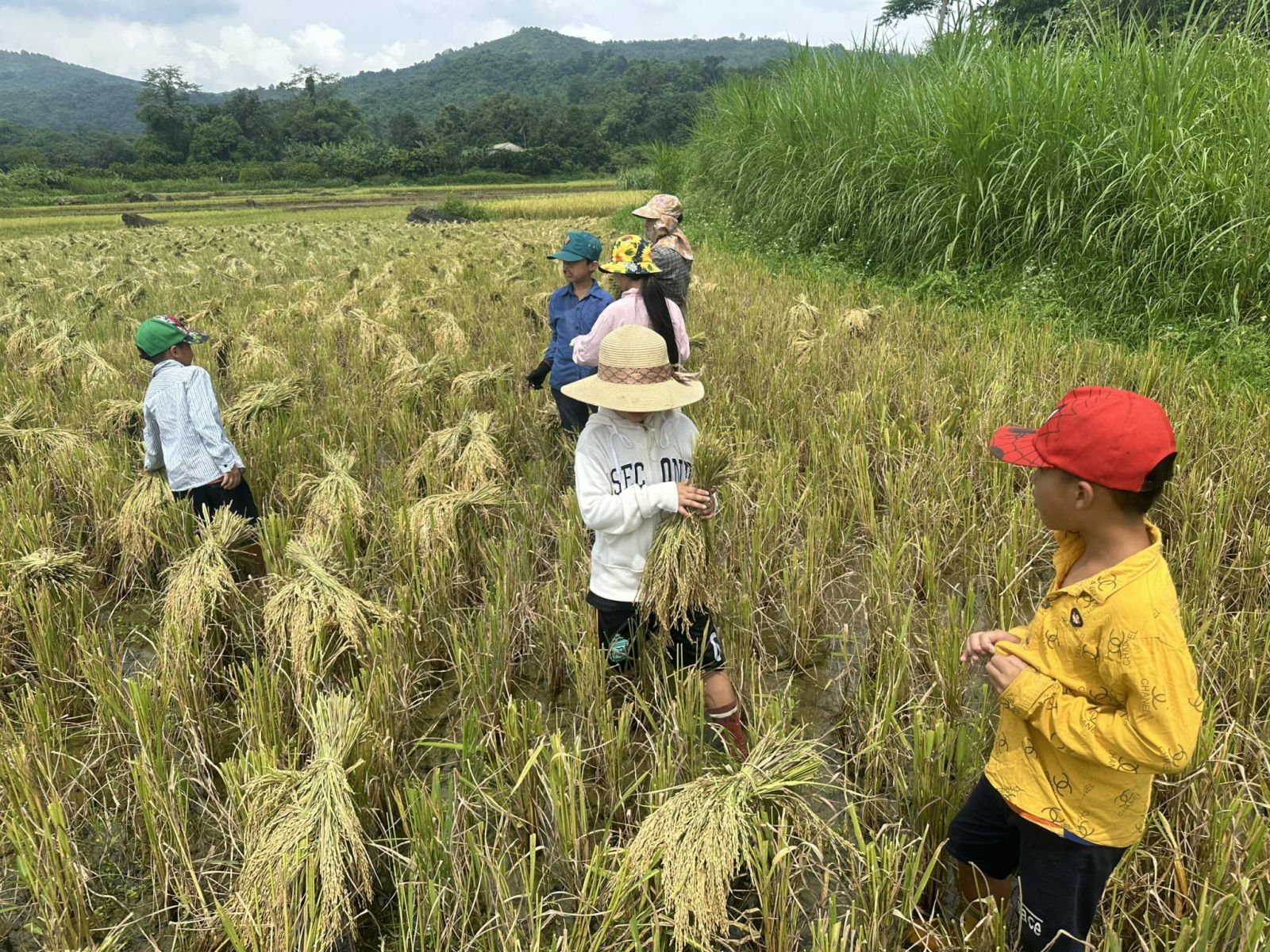 VỤ MÙA CỦA NGƯỜI DÂN TỘC TẠI HOÀ BÌNH 